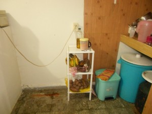 DSCN0772