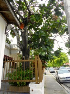 DSCN0792
