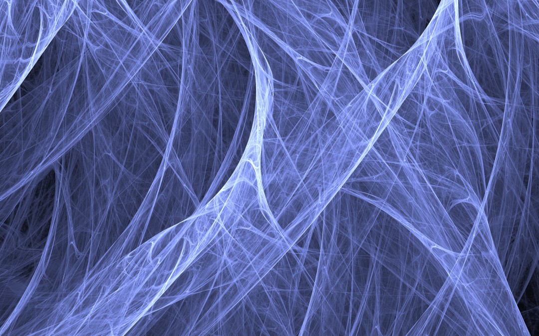 Spider-Webs_2560x1600