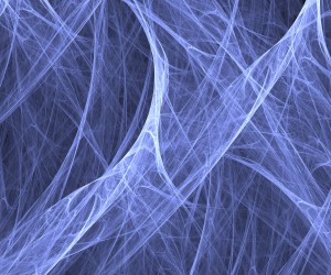Spider-Webs_2560x1600